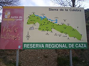 Archivo:Rihonor de Castilla (painel com mapa)