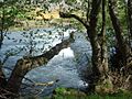 Rio Eria
