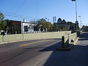 Archivo:S6002743