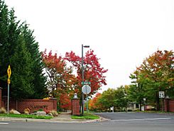Subdivision - Bethany, Oregon.JPG