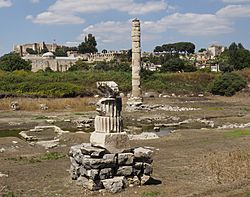 Archivo:Templo-Artemisa-Efeso-2017