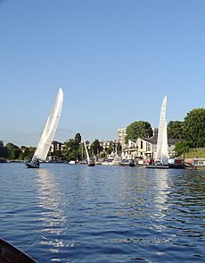 Archivo:ThamesRaters01
