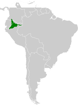 Distribución geográfica del picoplano ojinaranja.
