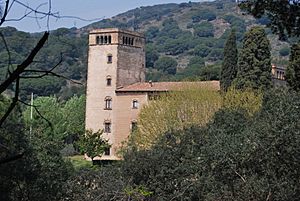 Archivo:Torre Pallaresa