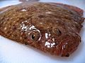 Turbot-de-sable-devant