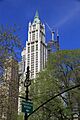 USA-NYC-The Woolworth Building3