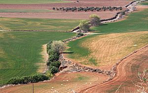 Archivo:Valle del Cedrón en la Guardia