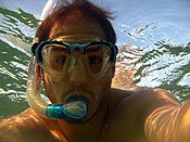 Archivo:Vieques underwater a
