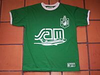Archivo:1989 Copa Libertadores Local replica