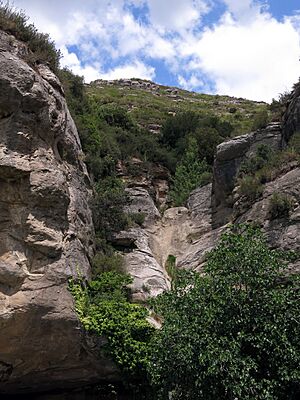 Archivo:261 Sant Miquel del Fai, el salt d'aigua del Rossinyol, que ara no raja