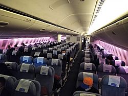 Archivo:A nearly empty flight from PEK to LAX amid the COVID-19 pandemic 1