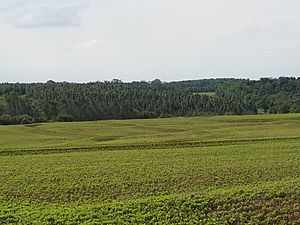 Archivo:Agricultura Hohenau