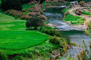 Archivo:Al Khawabi River - tartus