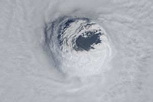 Archivo:Astronaut Auñón-Chancellor's Photo of Hurricane Michael (45229616491)