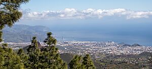 Archivo:At Tenerife 2022 024 (cropped)