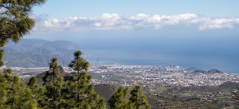At Tenerife 2022 024 (cropped)