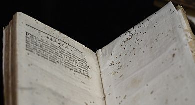 Archivo:Bookworm damage on Errata page