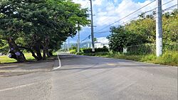 Carretera PR-127, Guayanilla, Puerto Rico.jpg