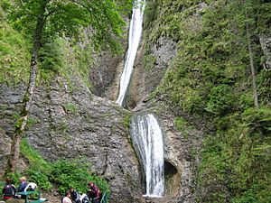 Archivo:Cascada duruitoarea