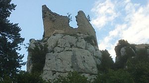 Archivo:Castell de Blancafort (5)