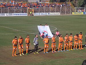 Archivo:Cobreloa2014