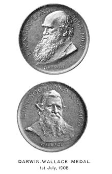 Archivo:Darwin-Wallace medal