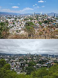Archivo:Deciduous Trees in Tegucigalpa