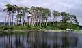 Derryclare Lake Connemara