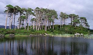 Derryclare Lake Connemara