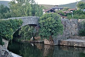 Archivo:El puente Carrecia