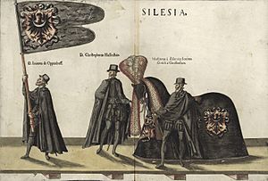 Archivo:Ferdinand I's funeral "SILESIA"