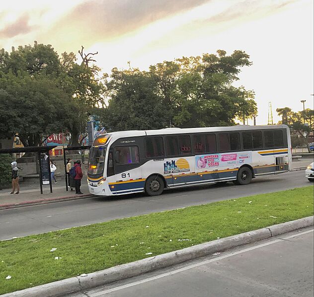 Flor de Maroñas, Montevideo1