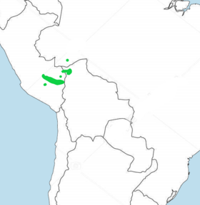 Distribución geográfica del formicario frentirrufo.