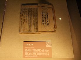 Archivo:Hanfeizi or Han Feizi, Qing dynasty, Hunan Museum
