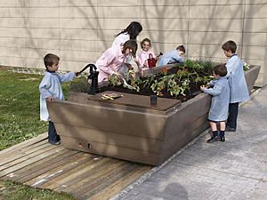 Archivo:Huerto escolar School garden gitma