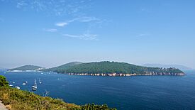 Istanbul (TR), Burgazada, Blick auf Heybeliada -- 2024 -- 0623.jpg