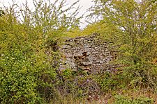 Molino de Iruelos muro derruido