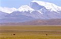 Mt Gurla Mandhata and wild Donkeys