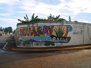 Archivo:Mural en Aguasay, Monagas