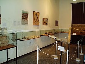 Archivo:MuseoPSM