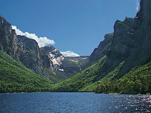 Archivo:NLW GrosMorne7 tango7174