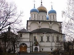 Novospassky cathedral