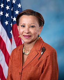 Nydia Velázquez official portrait.jpg