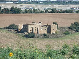 Palacio de Guenduláin.jpg