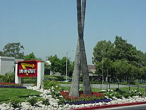 Archivo:Palms trees in x