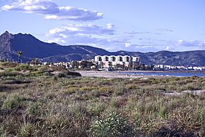 Archivo:Playa El Serradal Castellon - 2