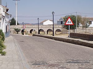 Archivo:Puente de Orgaz