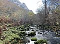 Río casaño en el Concejo de Cabrales en otoño