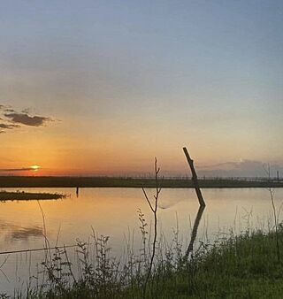 Rio guarico embalse.jpg