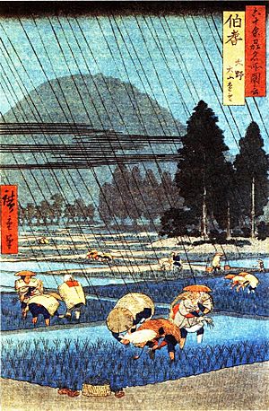 Archivo:Riziere Oki